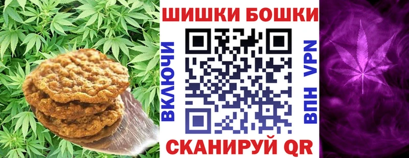 MEGA маркетплейс  как найти закладки  Елизаветинская  Canna-Cookies конопля 