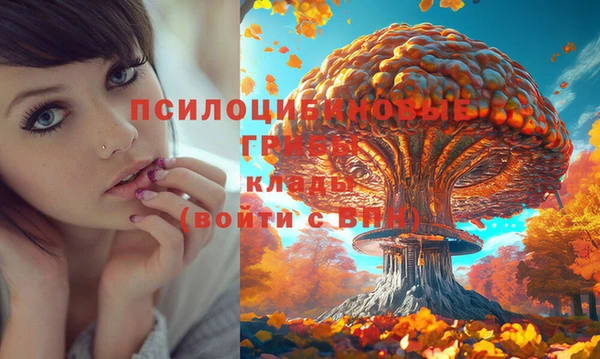 кристаллы Алексин