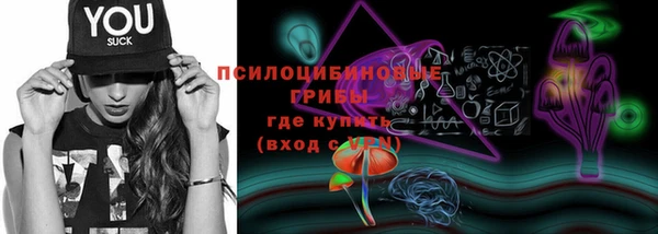 ешки Абаза