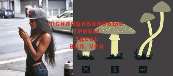первитин Абинск