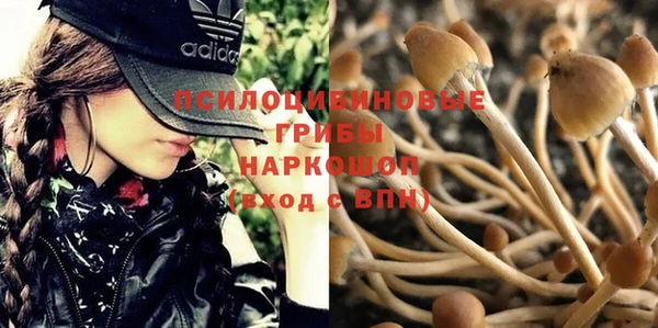 гидропоника Алзамай