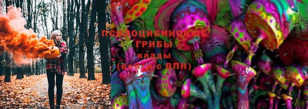 ГАЛЛЮЦИНОГЕННЫЕ ГРИБЫ Абдулино