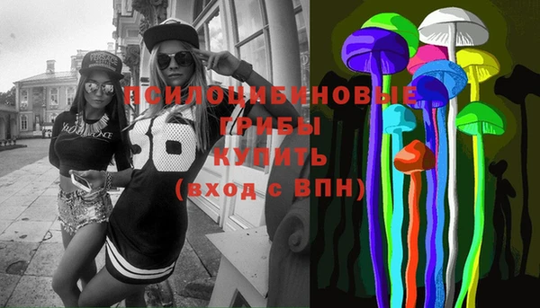 ГАЛЛЮЦИНОГЕННЫЕ ГРИБЫ Абдулино
