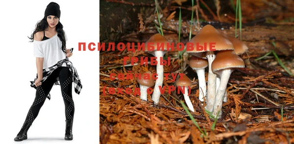 первитин Абинск