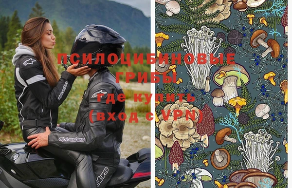 ГАЛЛЮЦИНОГЕННЫЕ ГРИБЫ Абдулино
