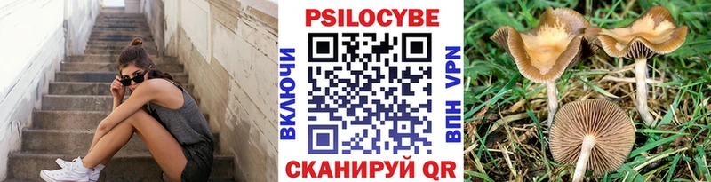 мега вход  Елизаветинская  Псилоцибиновые грибы Magic Shrooms 